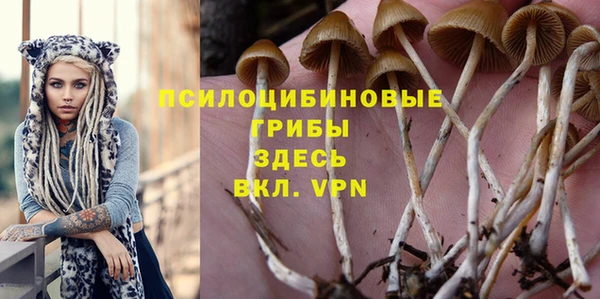 спиды Лиски